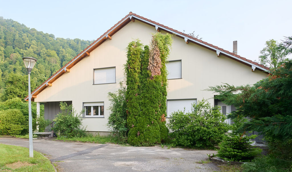 Rénovation de façade avec finitions lisse et joint debout — Maison individuelle à Saint-Hippolyte